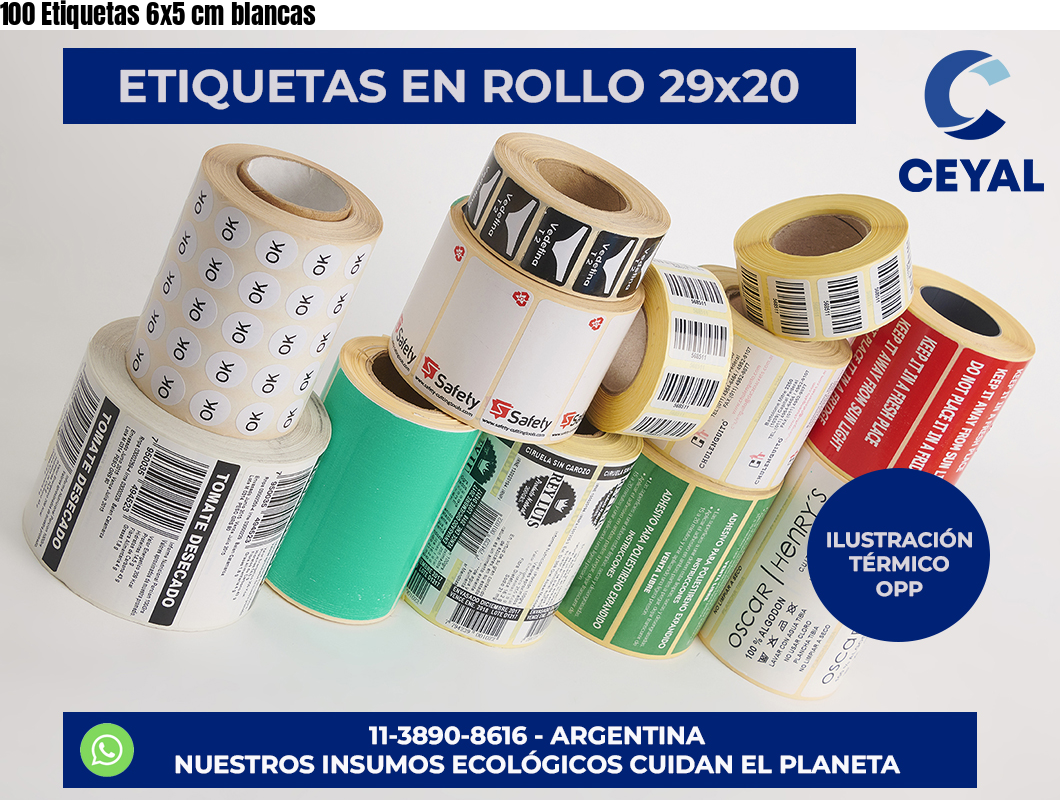 100 Etiquetas 6×5 cm blancas