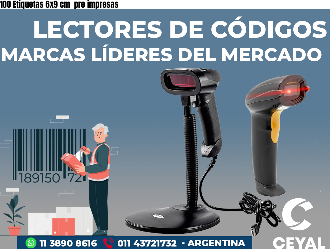 100 Etiquetas 6x9 cm  pre impresas