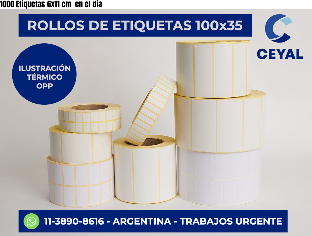 1000 Etiquetas 6×11 cm  en el dia