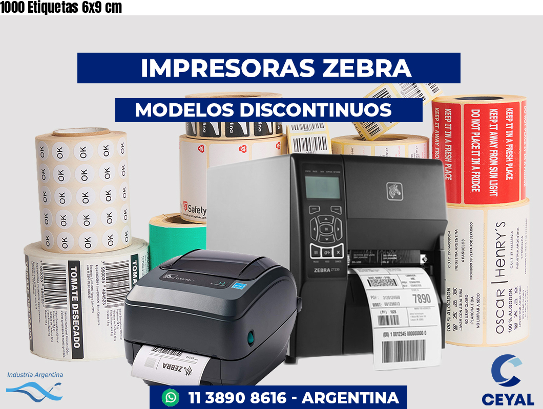 1000 Etiquetas 6x9 cm