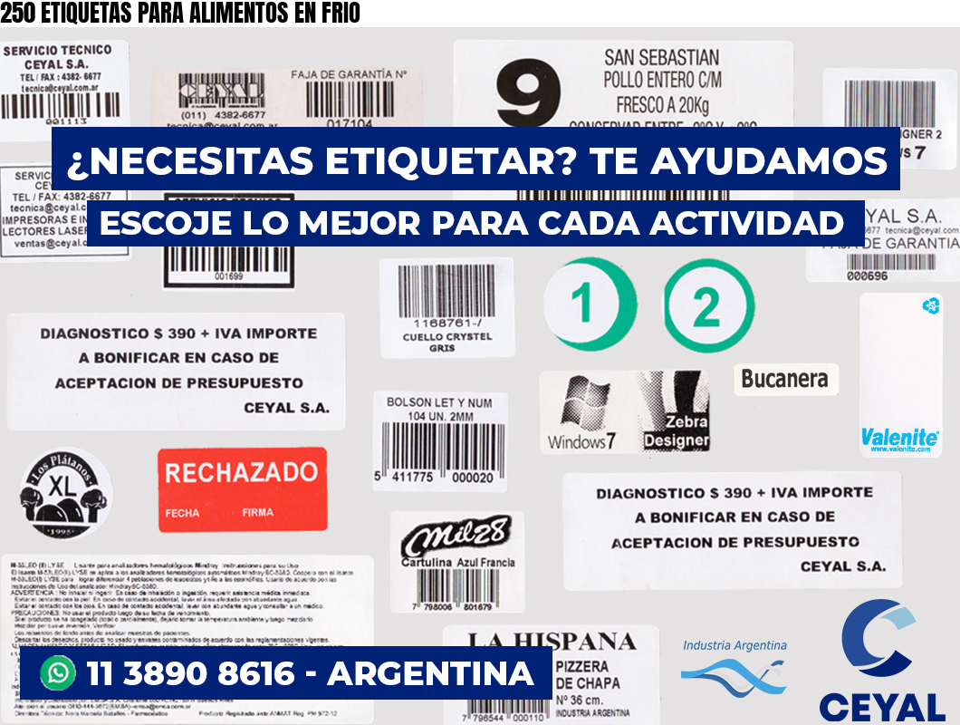 250 ETIQUETAS PARA ALIMENTOS EN FRIO