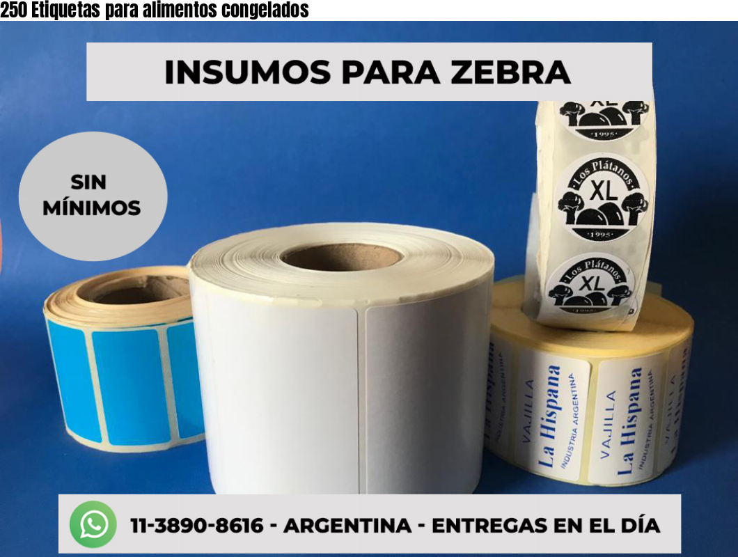 250 Etiquetas para alimentos congelados
