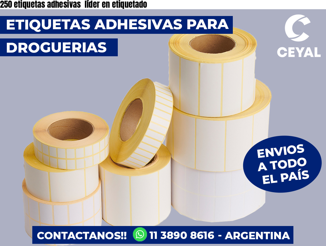 250 etiquetas adhesivas  líder en etiquetado