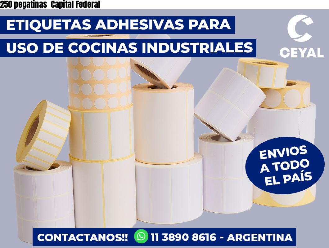250 pegatinas  Capital Federal