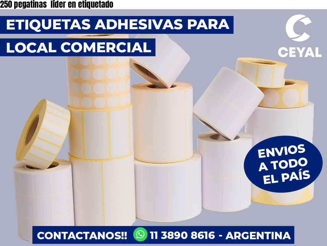 250 pegatinas  líder en etiquetado
