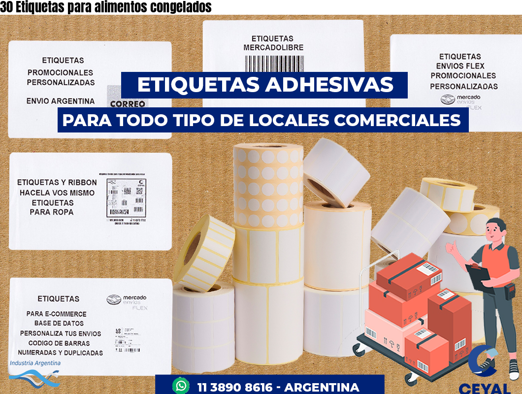 30 Etiquetas para alimentos congelados