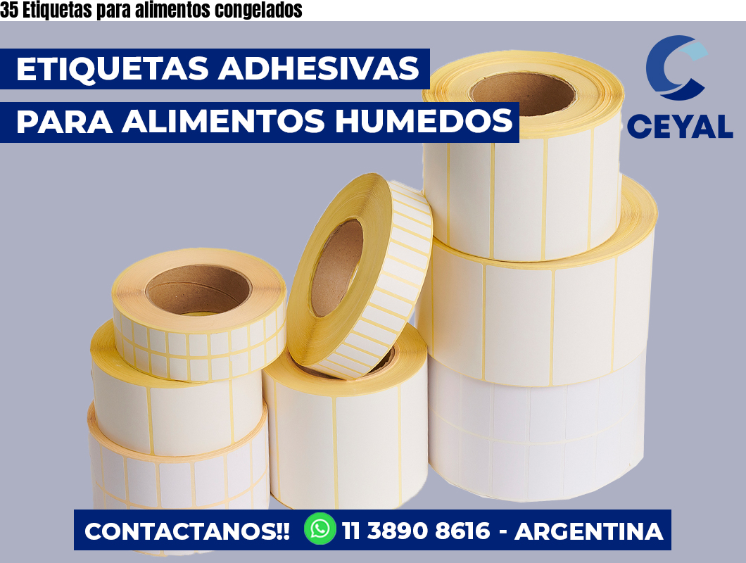35 Etiquetas para alimentos congelados