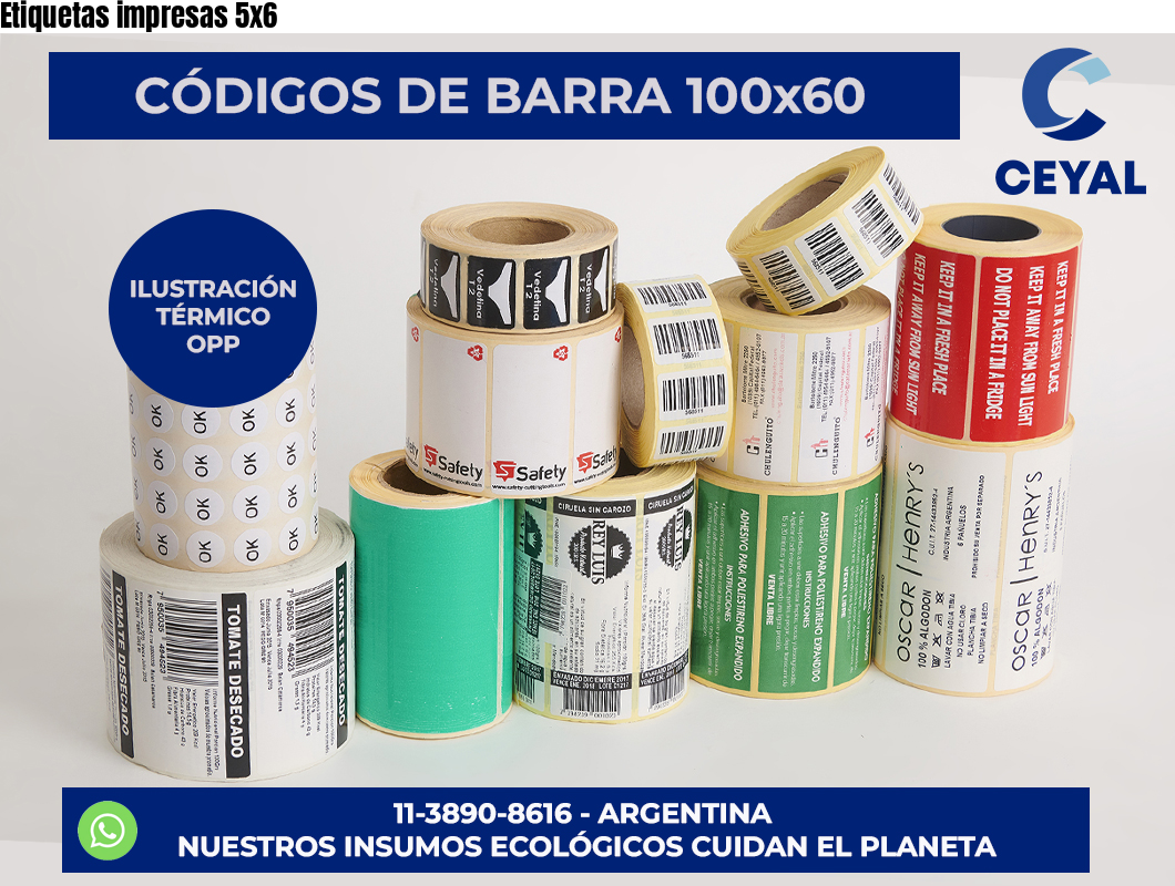 Etiquetas impresas 5×6