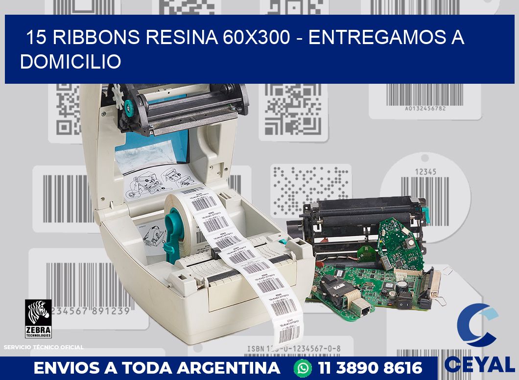 15 Ribbons resina 60x300 - entregamos a domicilio