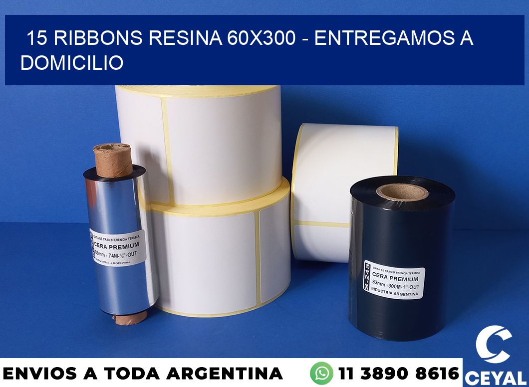 15 Ribbons resina 60×300 – entregamos a domicilio