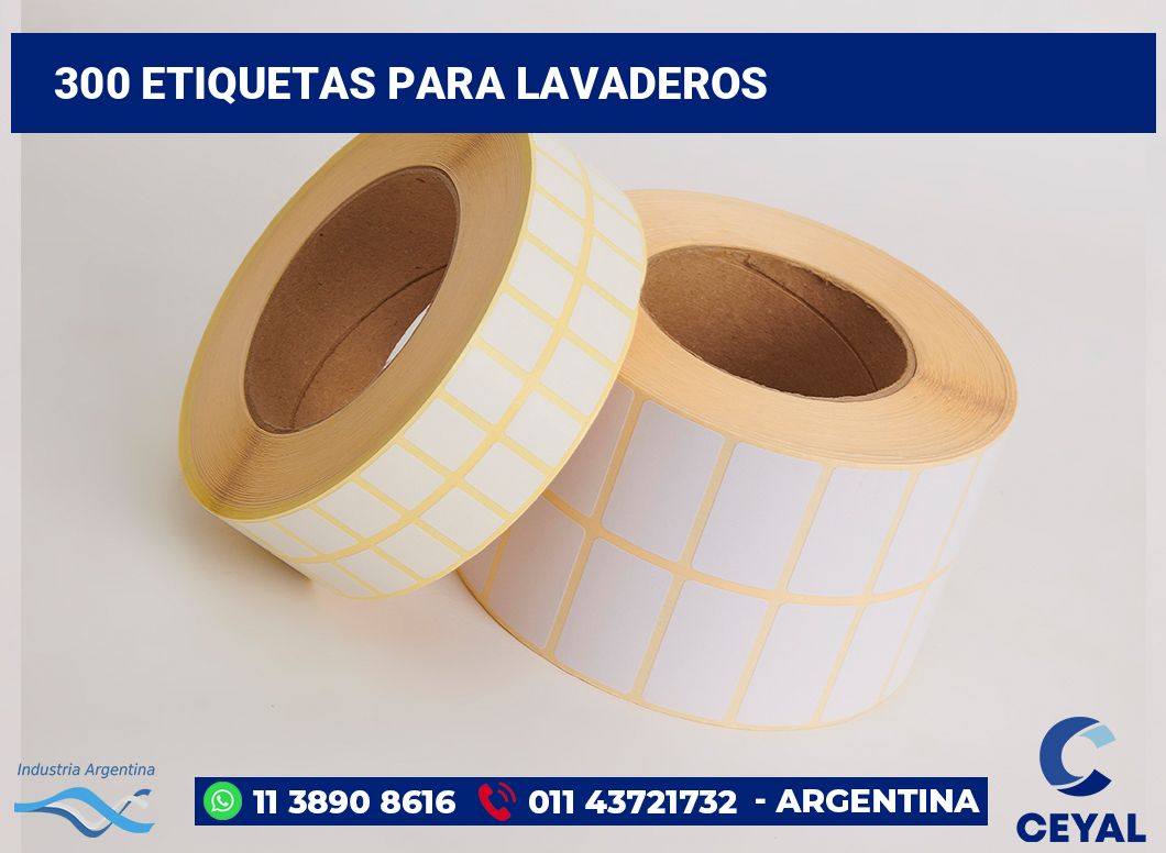 300 Etiquetas para lavaderos