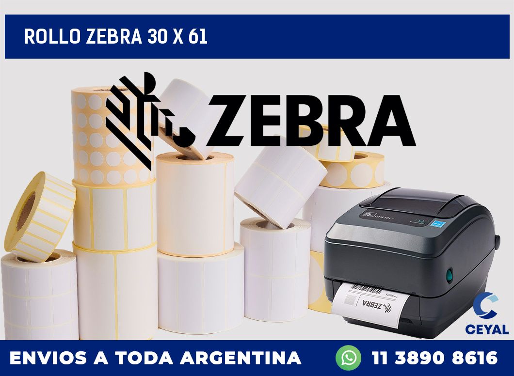 rollo zebra 30 x 61