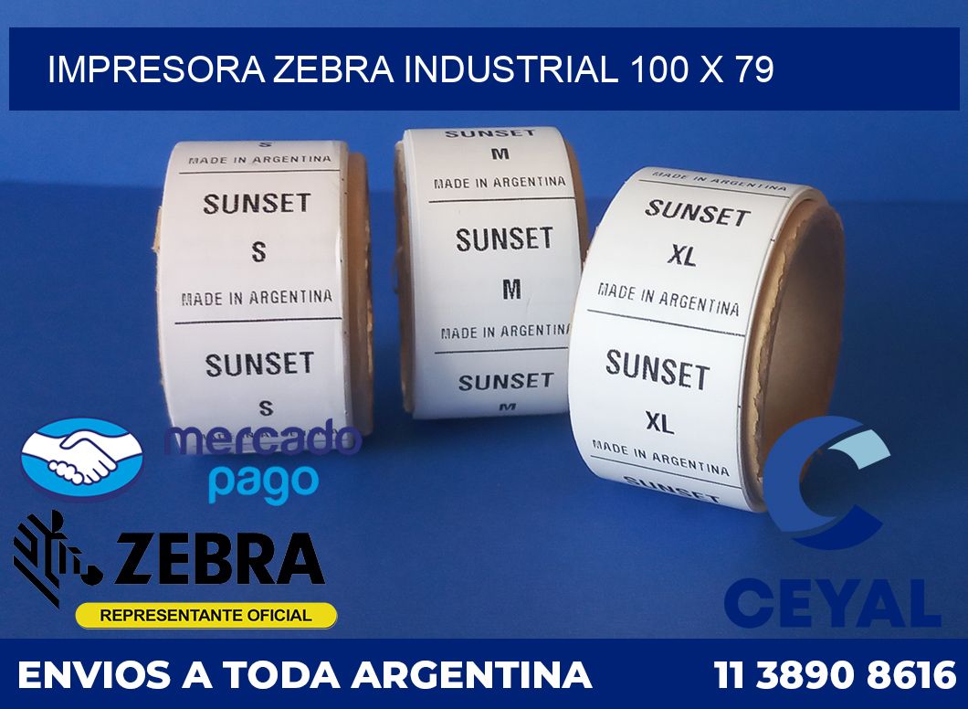Impresora Zebra industrial 100 x 79