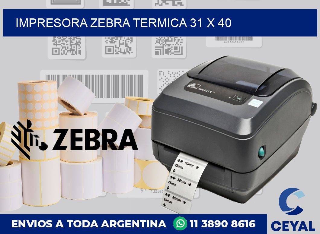 Impresora Zebra termica 31 x 40