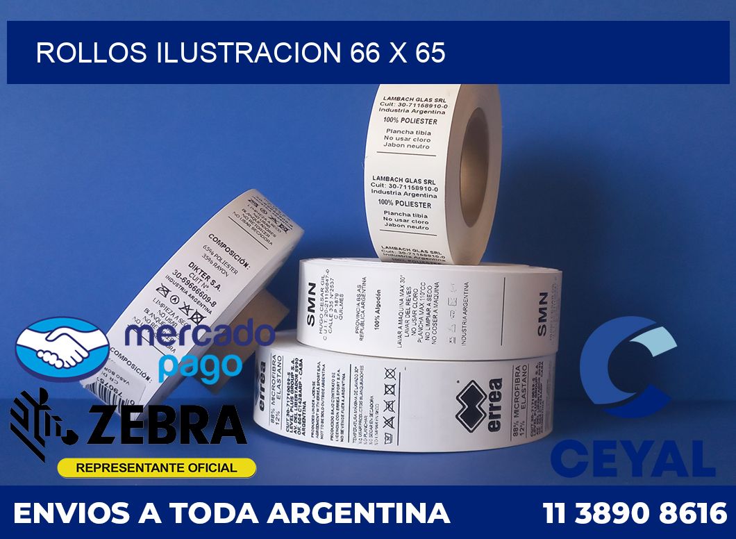 Rollos ilustracion 66 x 65