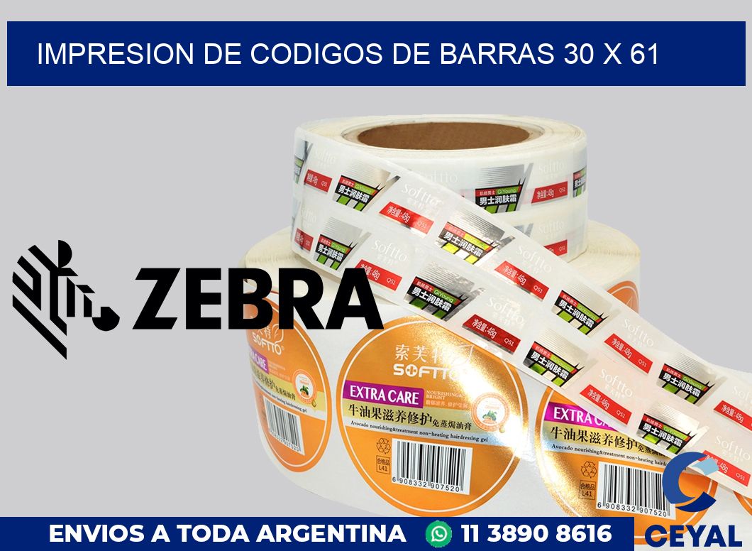 impresion de codigos de barras 30 x 61