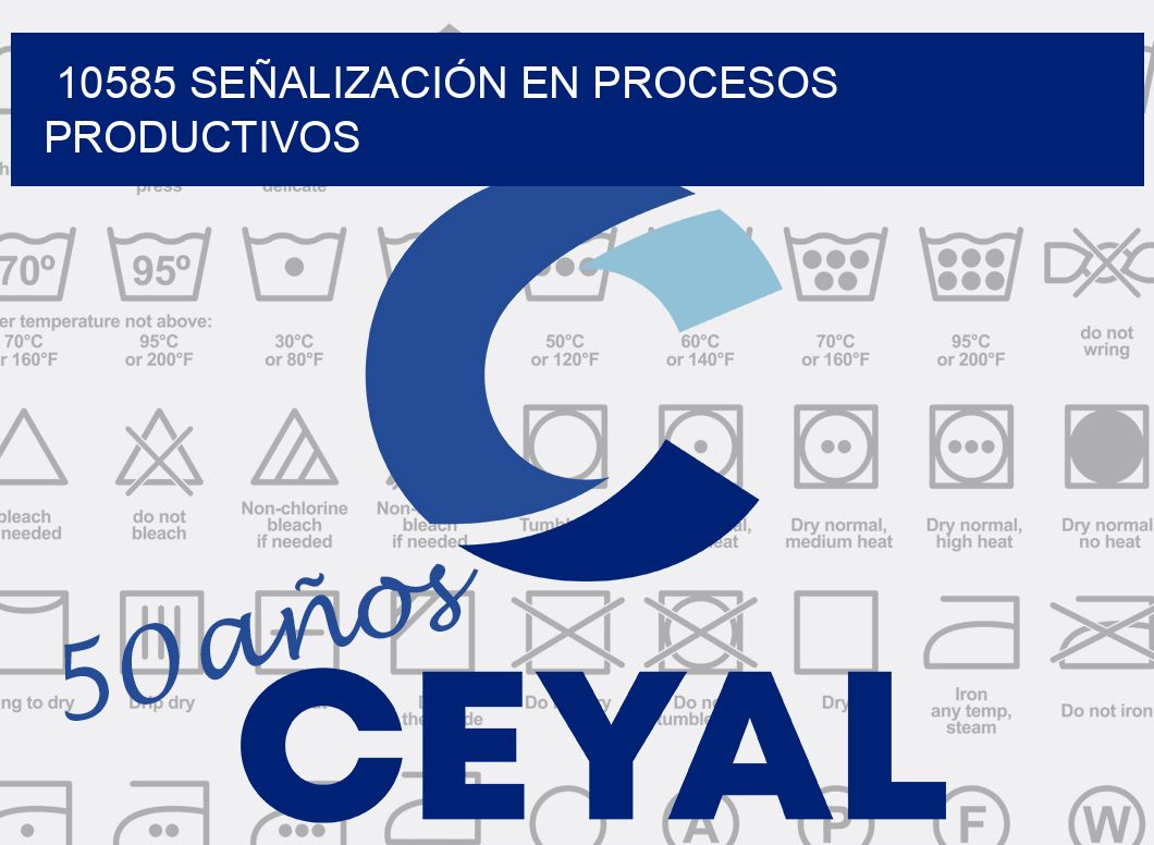 10585 SEÑALIZACIÓN EN PROCESOS PRODUCTIVOS