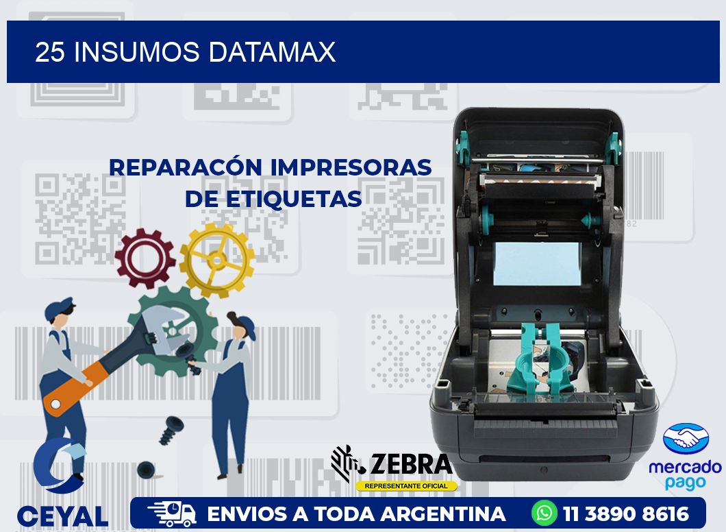 25 INSUMOS DATAMAX