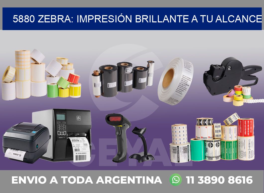 5880 ZEBRA: IMPRESIÓN BRILLANTE A TU ALCANCE