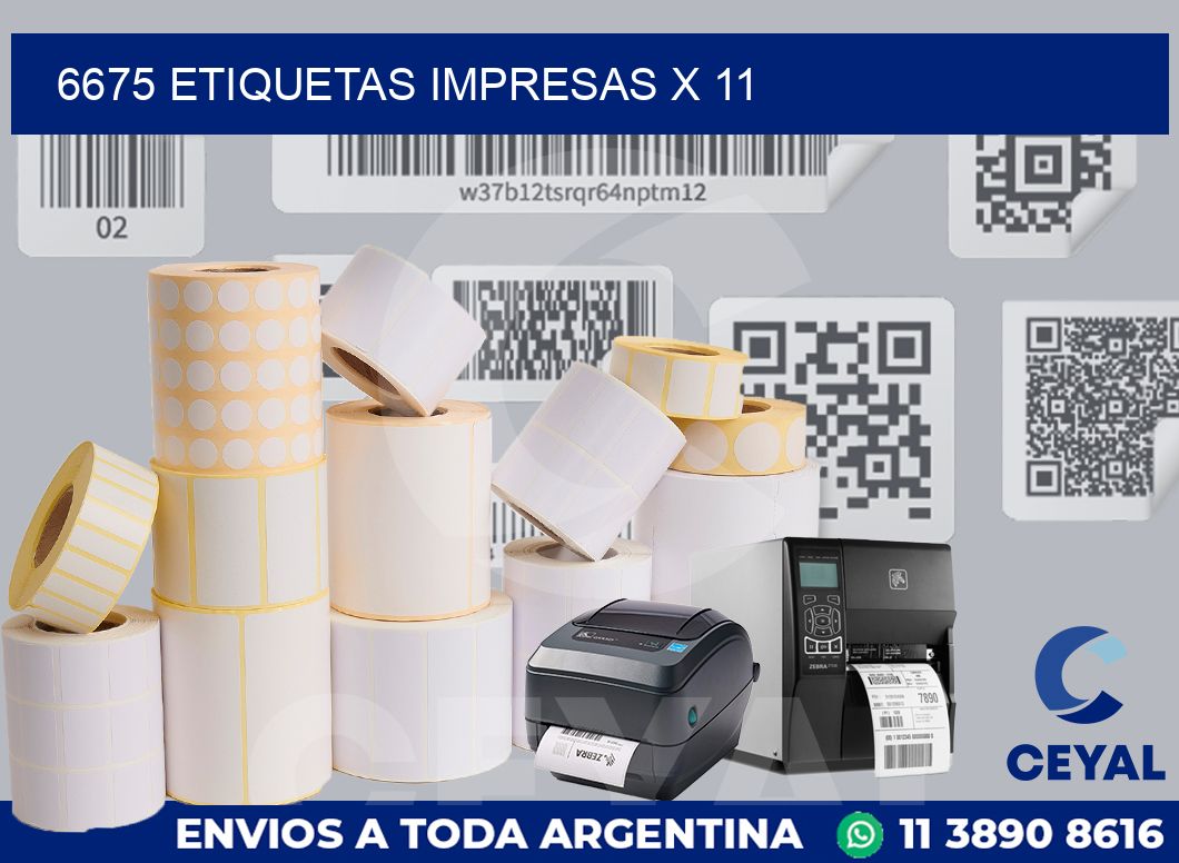 6675 Etiquetas impresas x 11