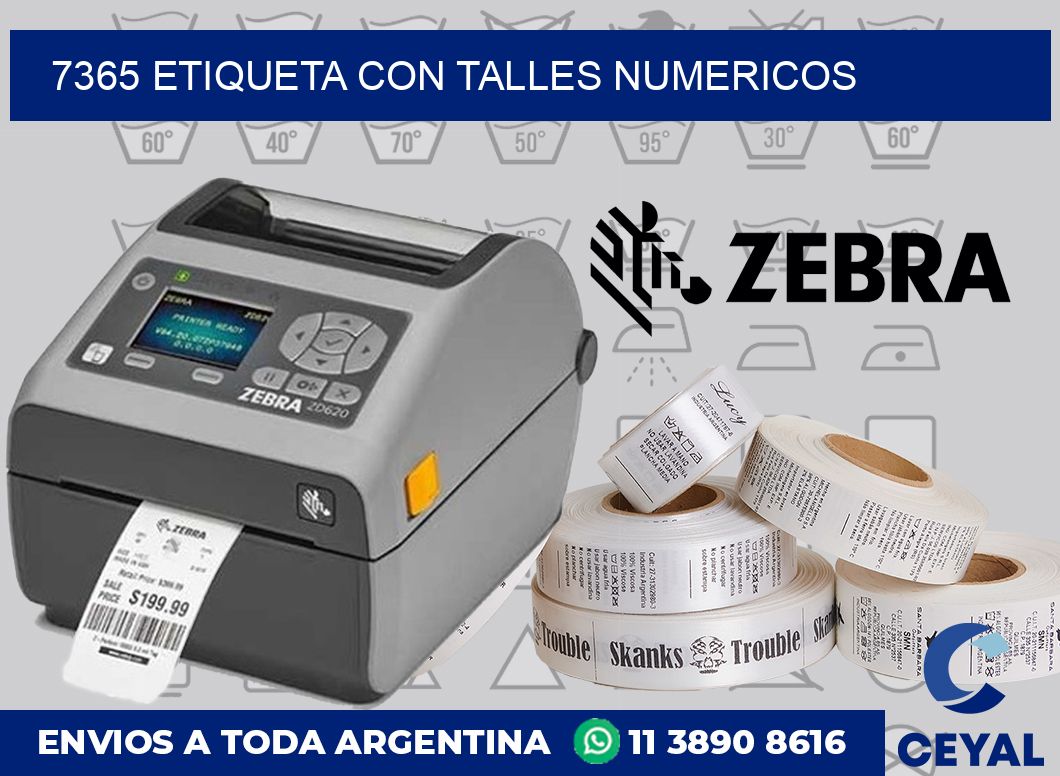7365 ETIQUETA CON TALLES NUMERICOS
