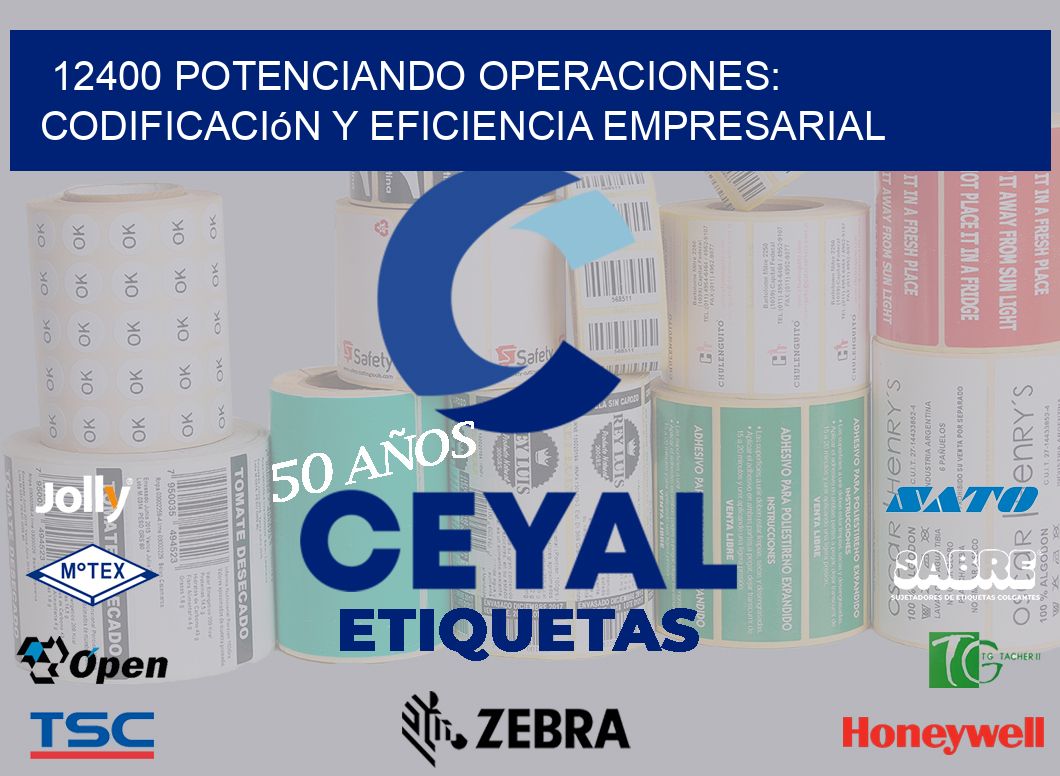 12400 Potenciando Operaciones: Codificación y Eficiencia Empresarial