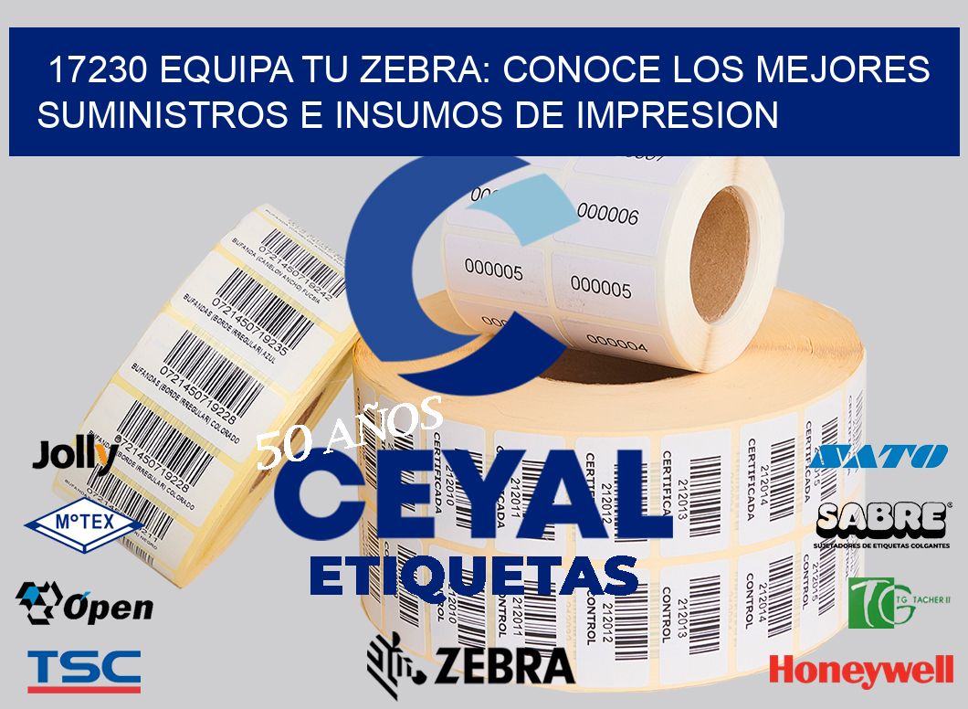 17230 EQUIPA TU ZEBRA: CONOCE LOS MEJORES SUMINISTROS E INSUMOS DE IMPRESION