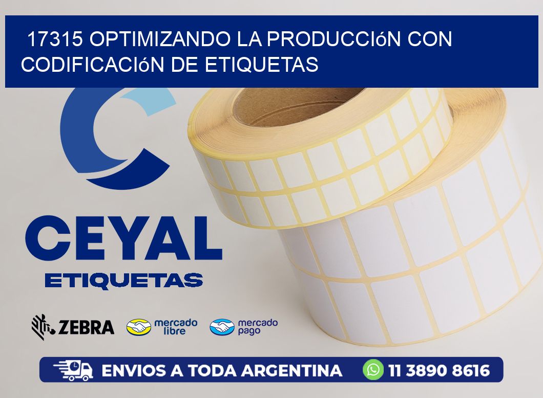 17315 Optimizando la Producción con Codificación de Etiquetas