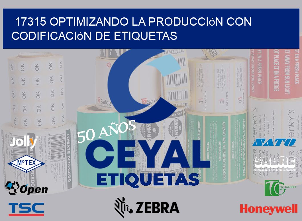 17315 Optimizando la Producción con Codificación de Etiquetas