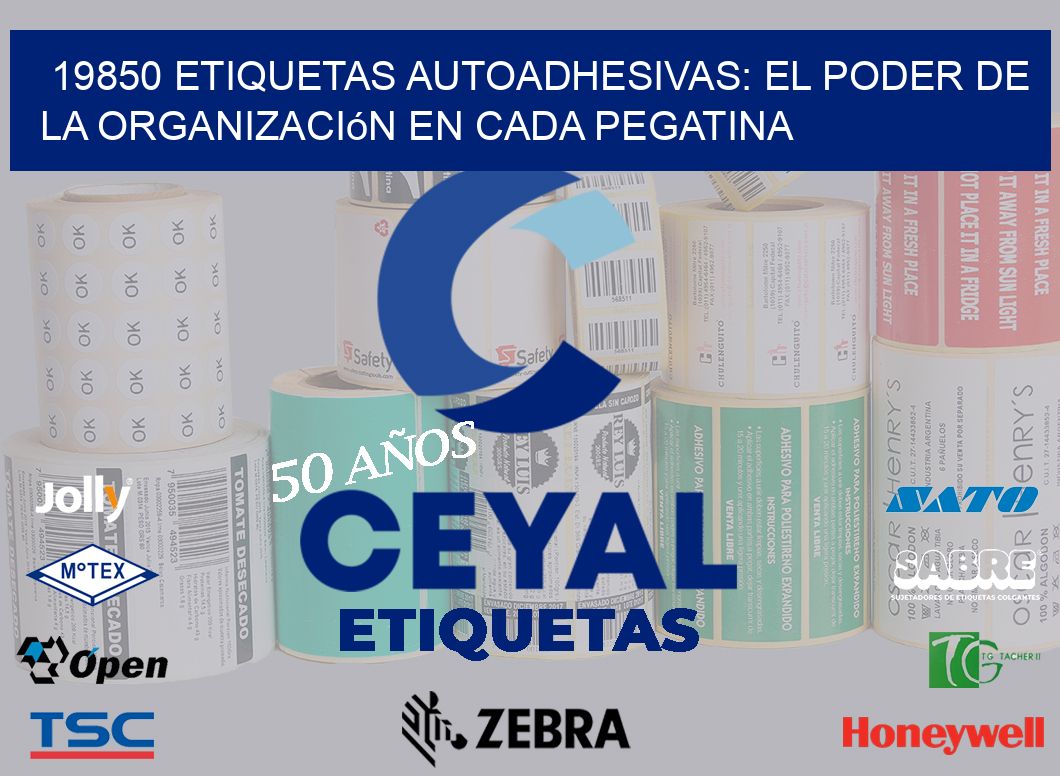 19850 Etiquetas Autoadhesivas: El Poder de la Organización en Cada Pegatina