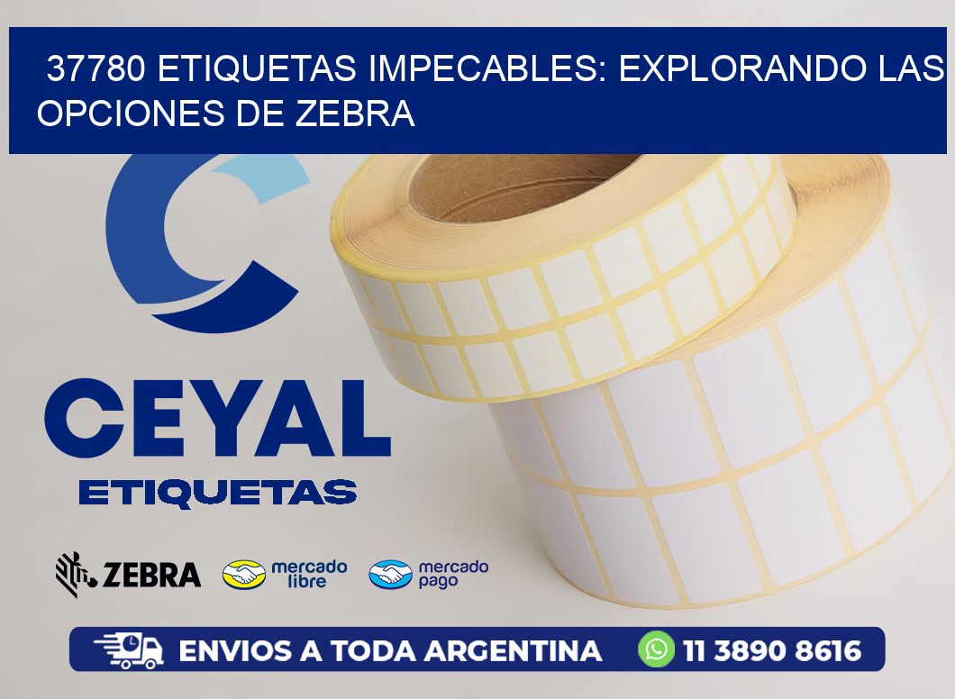 37780 Etiquetas Impecables: Explorando las Opciones de Zebra