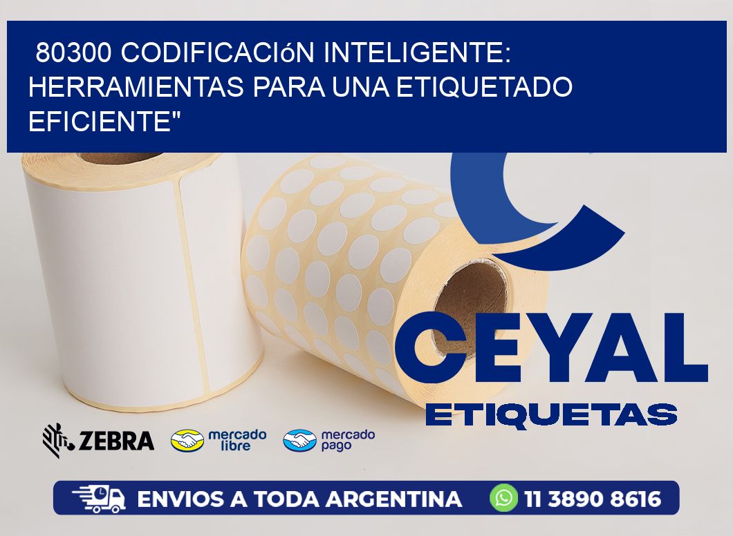80300 Codificación Inteligente: Herramientas para una Etiquetado Eficiente