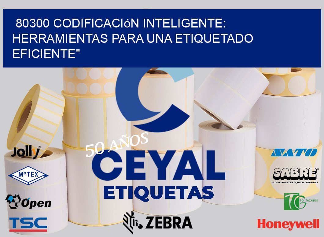 80300 Codificación Inteligente: Herramientas para una Etiquetado Eficiente»