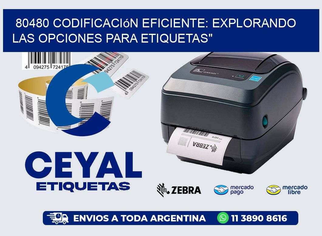 80480 Codificación Eficiente: Explorando las Opciones para Etiquetas