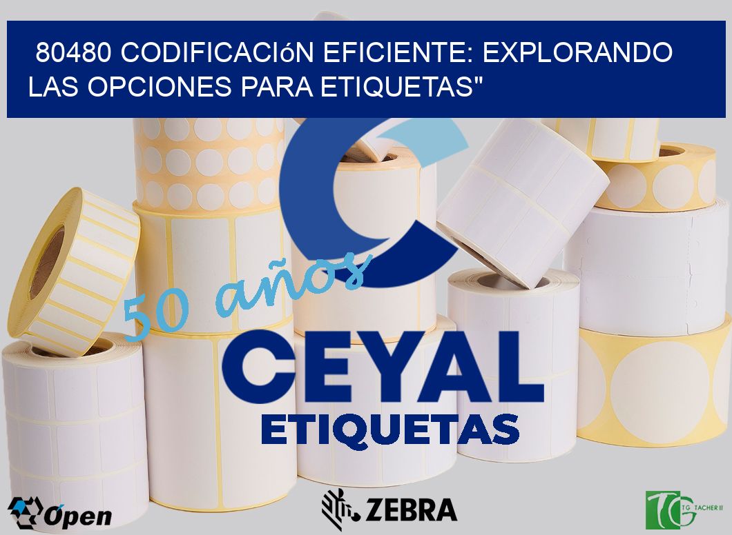 80480 Codificación Eficiente: Explorando las Opciones para Etiquetas»