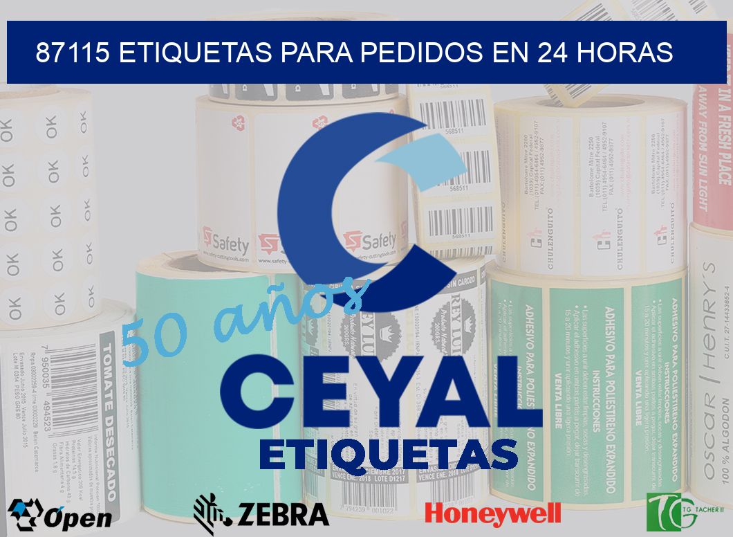 87115 ETIQUETAS PARA PEDIDOS EN 24 HORAS