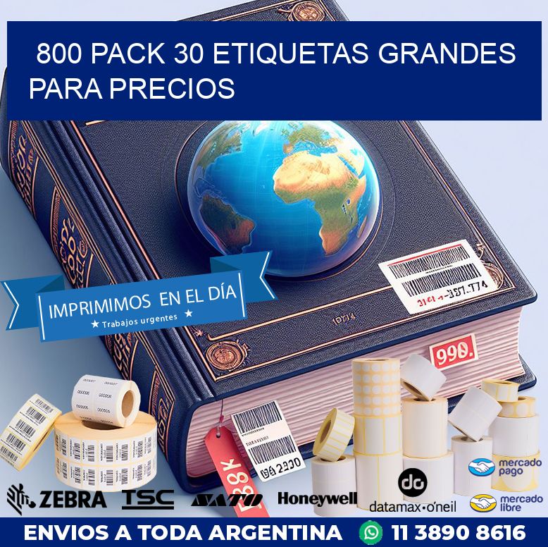800 PACK 30 ETIQUETAS GRANDES PARA PRECIOS