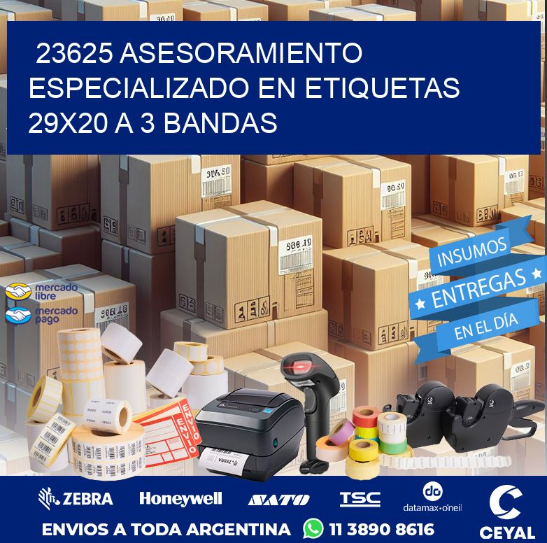 23625 ASESORAMIENTO ESPECIALIZADO EN ETIQUETAS 29X20 A 3 BANDAS