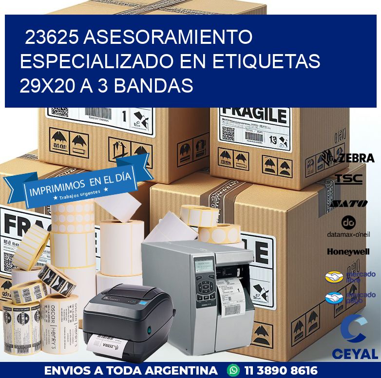 23625 ASESORAMIENTO ESPECIALIZADO EN ETIQUETAS 29X20 A 3 BANDAS