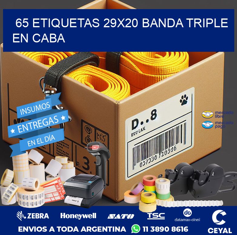 65 ETIQUETAS 29X20 BANDA TRIPLE EN CABA