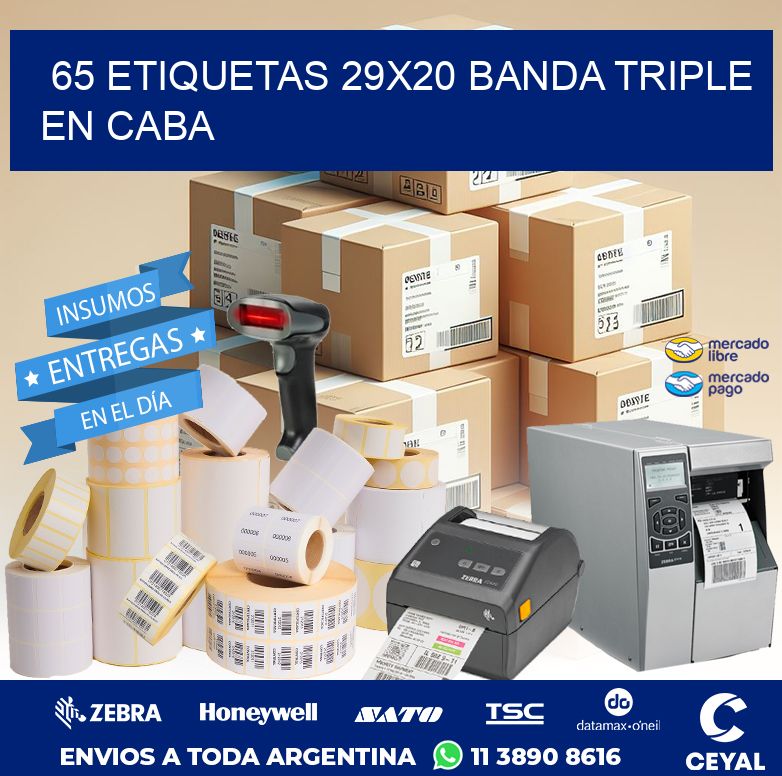 65 ETIQUETAS 29X20 BANDA TRIPLE EN CABA