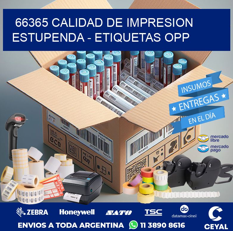 66365 CALIDAD DE IMPRESION ESTUPENDA - ETIQUETAS OPP