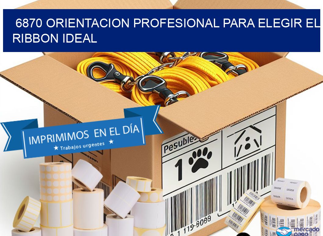 6870 ORIENTACION PROFESIONAL PARA ELEGIR EL RIBBON IDEAL