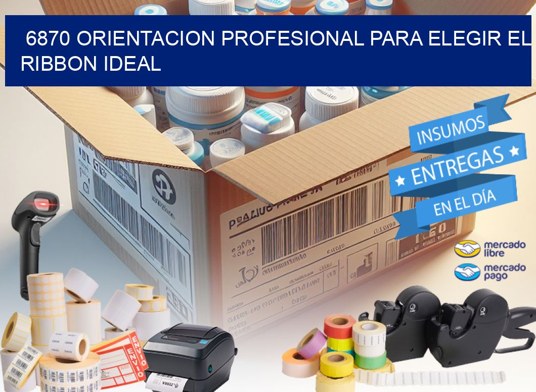 6870 ORIENTACION PROFESIONAL PARA ELEGIR EL RIBBON IDEAL