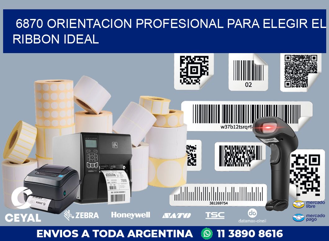 6870 ORIENTACION PROFESIONAL PARA ELEGIR EL RIBBON IDEAL