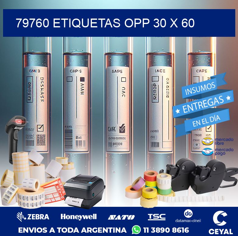 79760 ETIQUETAS OPP 30 X 60