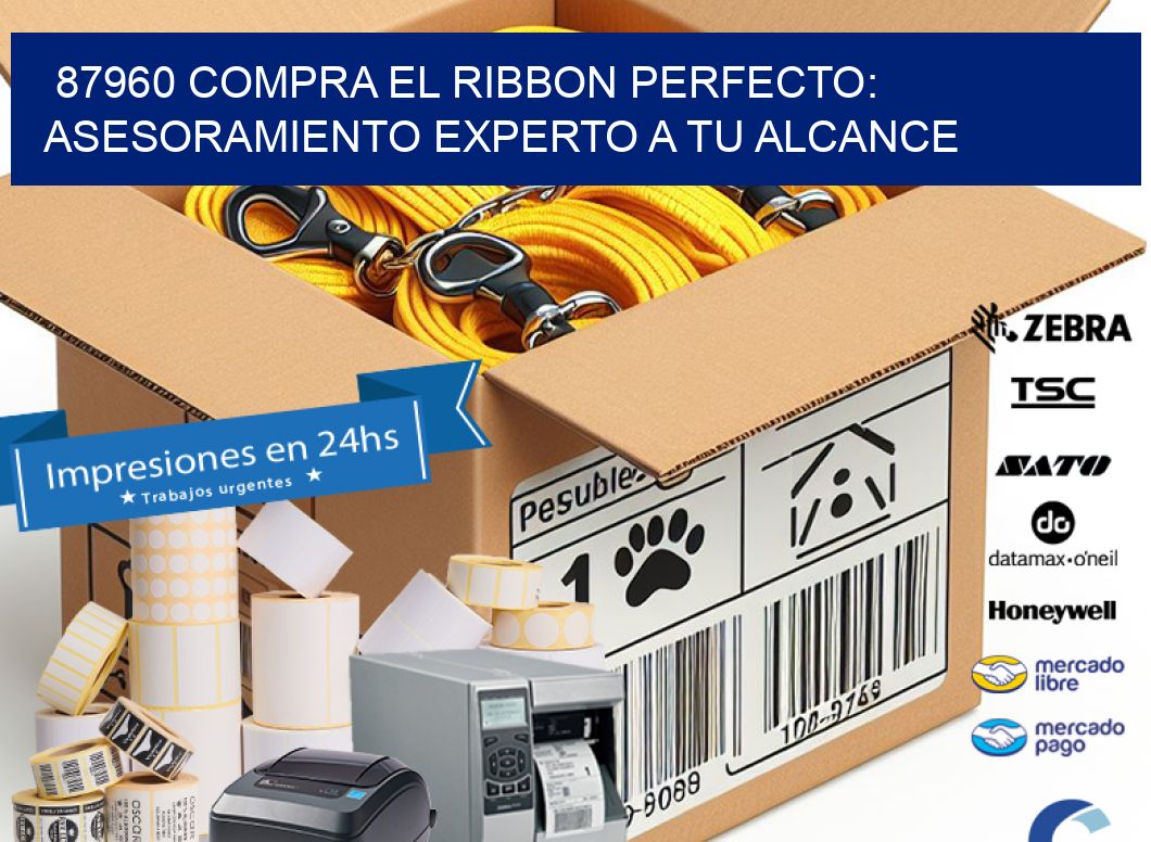87960 COMPRA EL RIBBON PERFECTO: ASESORAMIENTO EXPERTO A TU ALCANCE