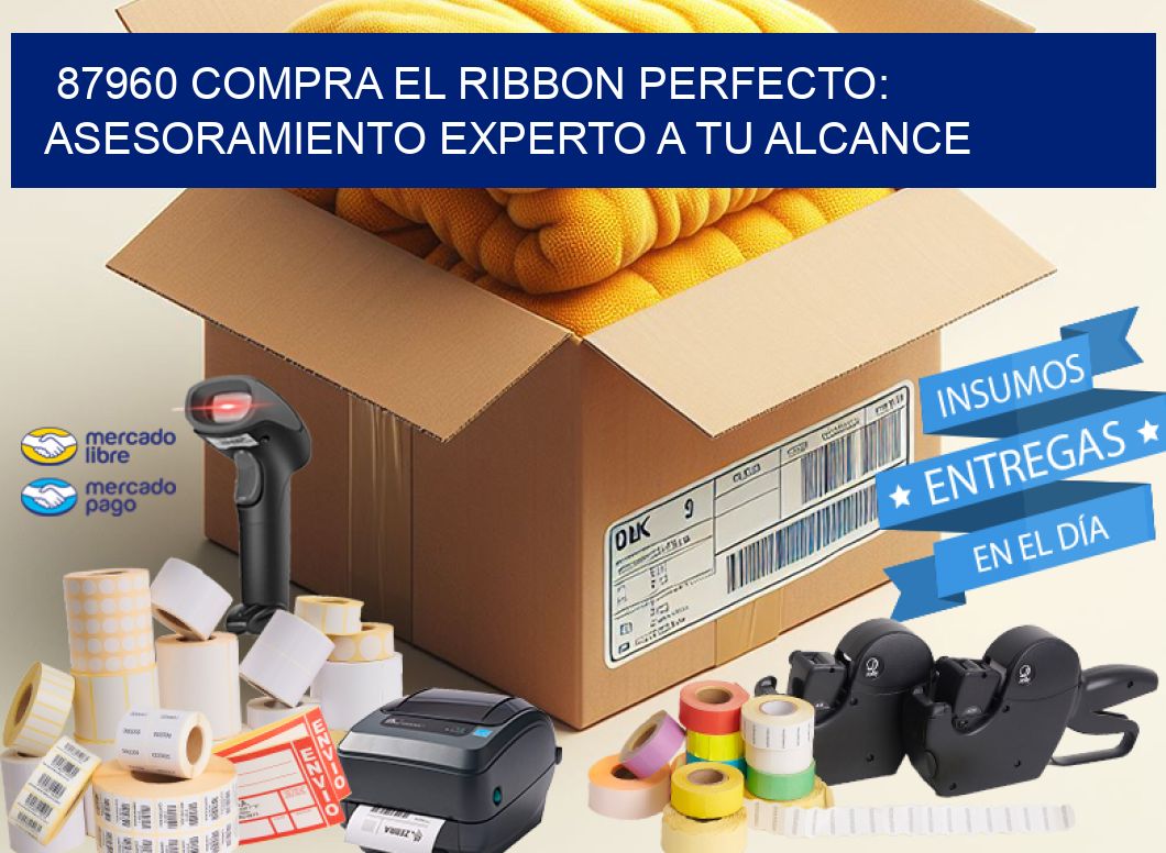 87960 COMPRA EL RIBBON PERFECTO: ASESORAMIENTO EXPERTO A TU ALCANCE