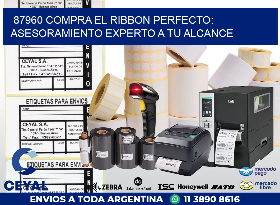 87960 COMPRA EL RIBBON PERFECTO: ASESORAMIENTO EXPERTO A TU ALCANCE