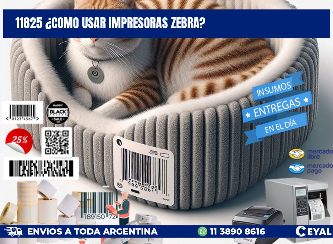 11825 ¿COMO USAR IMPRESORAS ZEBRA?